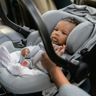 UPPAbaby Aria Lightweight Infant Car Seat + Base - Shop at The Pump Station and Nurtury