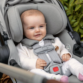 UPPAbaby Aria Lightweight Infant Car Seat + Base - Shop at The Pump Station and Nurtury