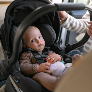 UPPAbaby Aria Lightweight Infant Car Seat + Base - Shop at The Pump Station and Nurtury