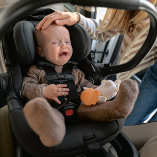 UPPAbaby Aria Lightweight Infant Car Seat + Base - Shop at The Pump Station and Nurtury