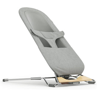 UPPAbaby Mira 2-in-1 Bouncer & Seat - Shop at The Pump Station and Nurtury