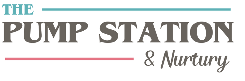 Discover the Best Prenatal, Baby Care & Breastfeeding Classes around, plus Nuna, Cybex, UPPABaby, Britax Car Seats & Strollers, Baby & Maternity Clothing, Breastfeeding Pumps and Supplies, Pump Parts, Nursing Pillows and much more chosen by our Experts.  Classes available Nationwide!