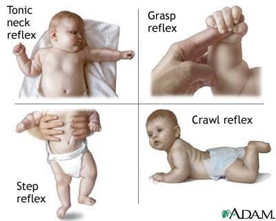 Newborn Features & Reflexes