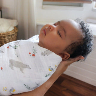 aden + anais Muslin Swaddle 4 Pk - Just $59.95! Shop now at The Pump Station & Nurtury