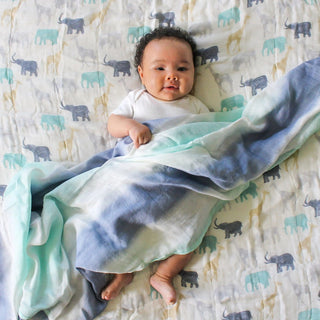 aden + anais Silky Soft Muslin Swaddle 3pk - Shop at The Pump Station and Nurtury