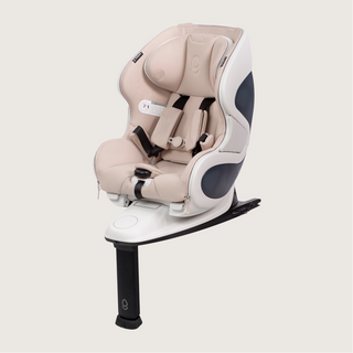 babyark The Convertible Car Seat - Shop at The Pump Station and Nurtury