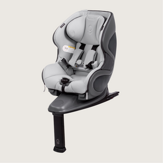 babyark The Convertible Car Seat - Shop at The Pump Station and Nurtury