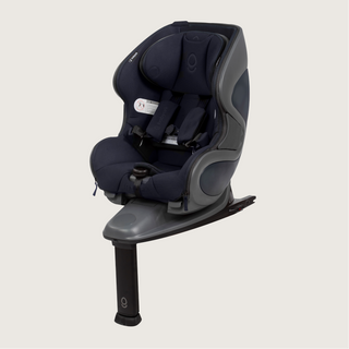 babyark The Convertible Car Seat - Shop at The Pump Station and Nurtury