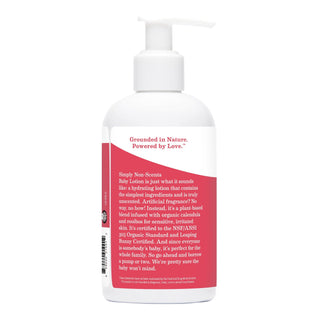 Earth Mama Organics Baby Lotion 8oz - Shop at The Pump Station and Nurtury