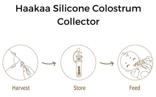 Haaka Silicone Colostrum Collector Set - Shop at The Pump Station and Nurtury