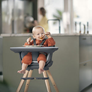 Maxi-Cosi Moa 8-in-1 High Chair - Shop at The Pump Station and Nurtury