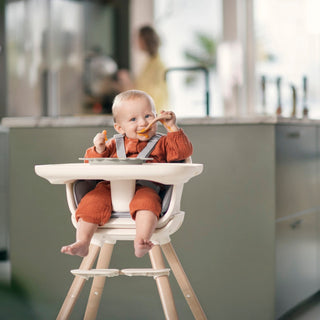 Maxi-Cosi Moa 8-in-1 High Chair - Shop at The Pump Station and Nurtury