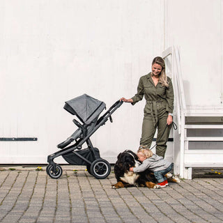 Thule Sleek Stroller - Shop at The Pump Station and Nurtury