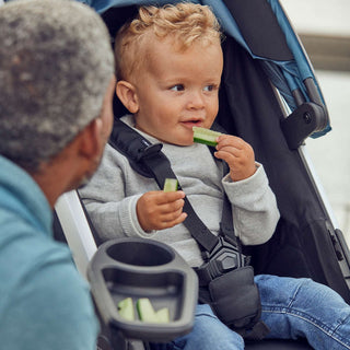 Thule Spring Snack Tray - Shop at The Pump Station and Nurtury