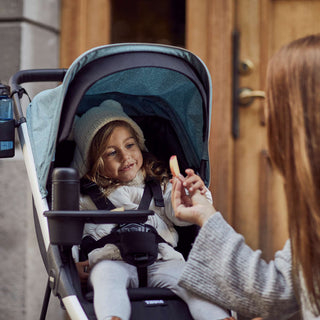 Thule Spring Stroller - Shop at The Pump Station and Nurtury