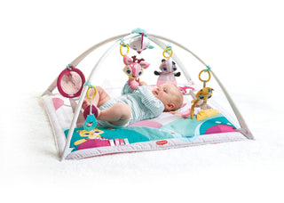 Tiny Love Princess Tales Gymini Deluxe Activity Gym Play Mat - Shop at The Pump Station and Nurtury