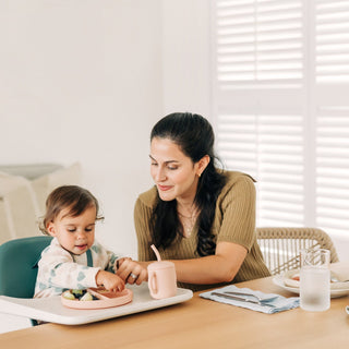 UPPAbaby Ciro High Chair - Shop at The Pump Station and Nurtury