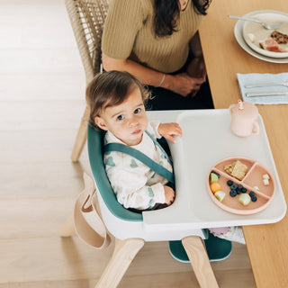 UPPAbaby Ciro High Chair - Shop at The Pump Station and Nurtury