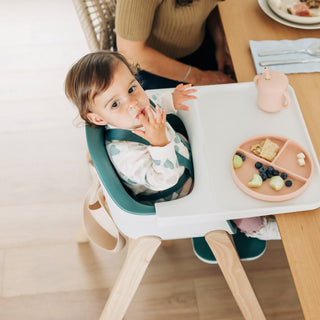 UPPAbaby Ciro High Chair - Shop at The Pump Station and Nurtury