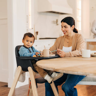 UPPAbaby Ciro High Chair - Shop at The Pump Station and Nurtury