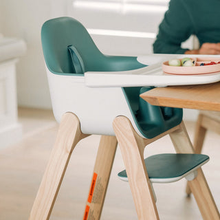 UPPAbaby Ciro High Chair - Shop at The Pump Station and Nurtury