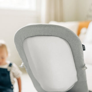 UPPAbaby Mira 2-in-1 Bouncer & Seat - Shop at The Pump Station and Nurtury